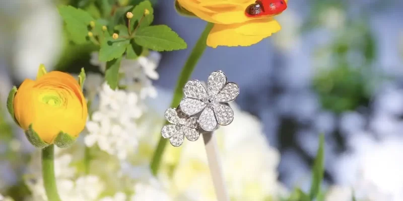 求婚钻戒选购攻略：如何挑选完美钻戒，开启浪漫求婚时刻！