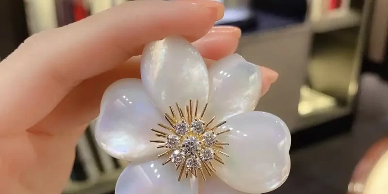 挑选完美求婚钻戒：选购指南与热门品牌推荐，助你成功求婚！【钻戒选购攻略】
